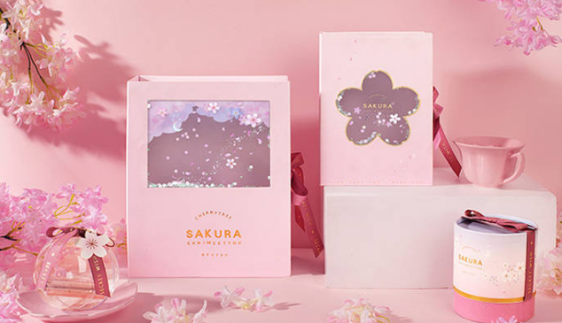 91看片下载安装工艺打造节日礼盒：包裹你的心，传递你的爱