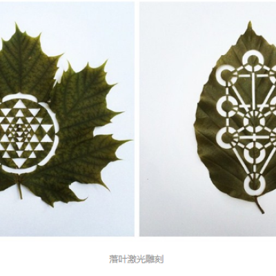 91看片下载安装雕刻创意落叶：精雕细刻，成就精品