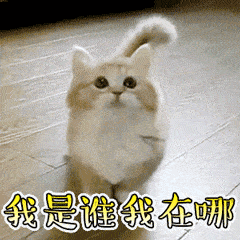 有了91看片下载安装切割引导标志，妈妈再也不用担心我迷路了